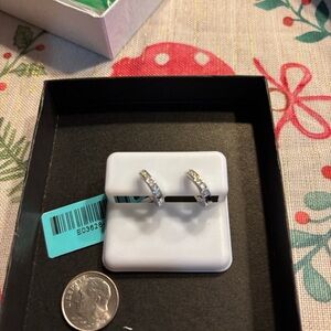 Elegant Silver Hoop Earrings